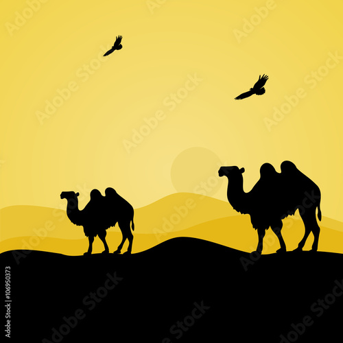 camels in the desert