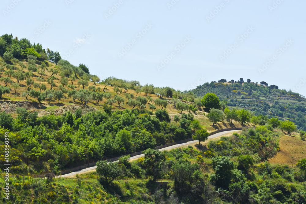 Obraz premium Landscape