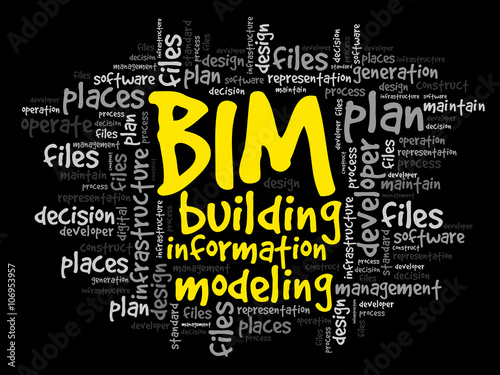 BIM - building information modeling word cloud, business concept