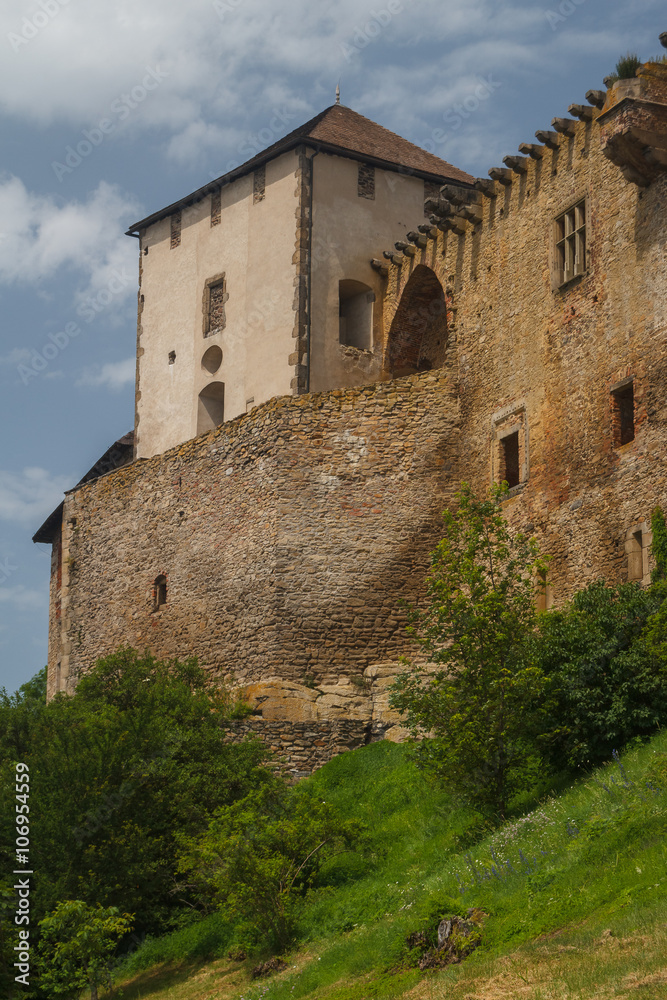 Ruins of the castle of Lipnice nad Sazavou, Czech Republic