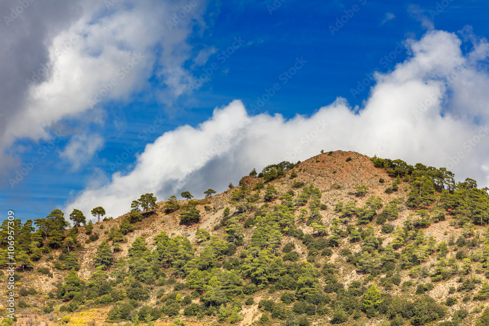 Landscape in Troodos mountains