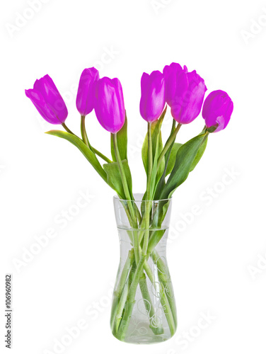 Violet, mauve tulips flowers in a transparent vase, green leaves, isolated on white background © Negoi Cristian