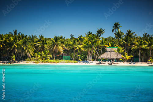 Palm trees on the tropical beach