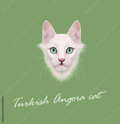 Vector Illustrated Portrait of Turkish Angora cat. © ant_art19