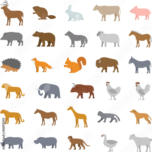 Vector set flat domestic animals. Modern collection flat wild animals. Line property insurance and accident insurance.