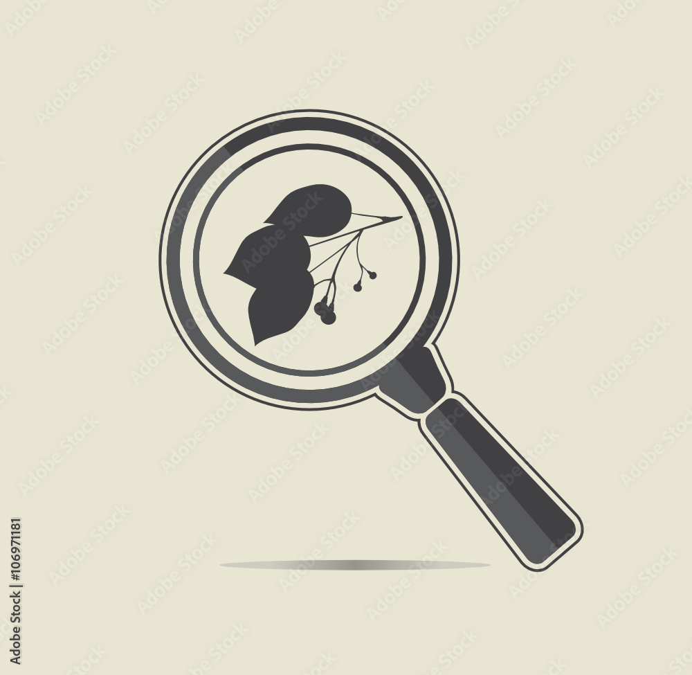 Camphor under a magnifiyng glass. Botanical research conceptual icon. 