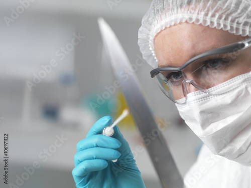 Forensic scientist in laboratory taking DNA evidence with a swab for crime investigation