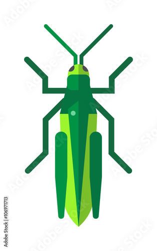 Cute grasshopper cartoon agricultural zoo large green locust nature insect flat vector.