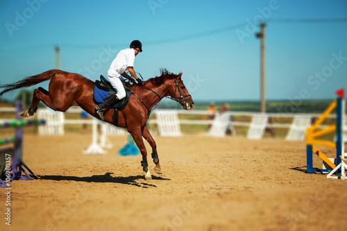 Horse and rider, equestrian © Nataliia Yudina
