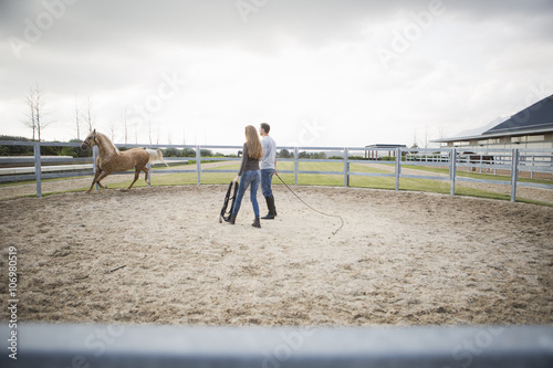 Two stablehands training palomino horse in paddock ring