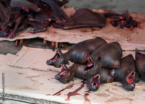 Bat meat in the local market in Tentena photo