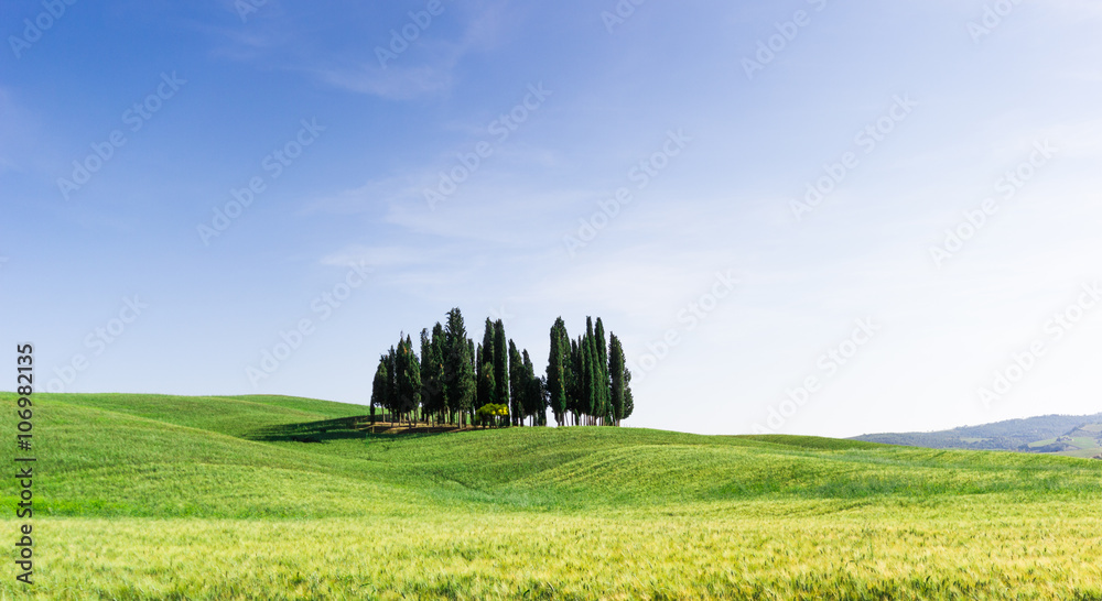 Tuscany, landscape