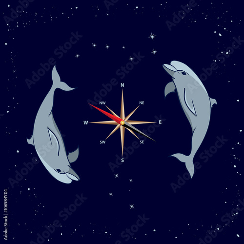 dolphins, windrose,  Ursa Major and  Southern Cross