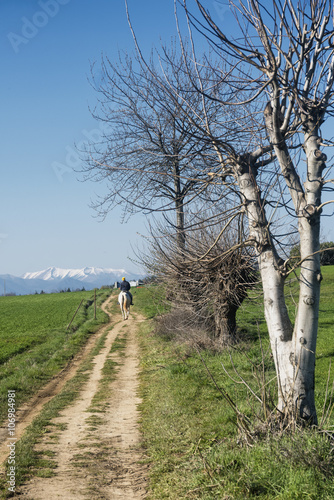 Country landscape in Brianza