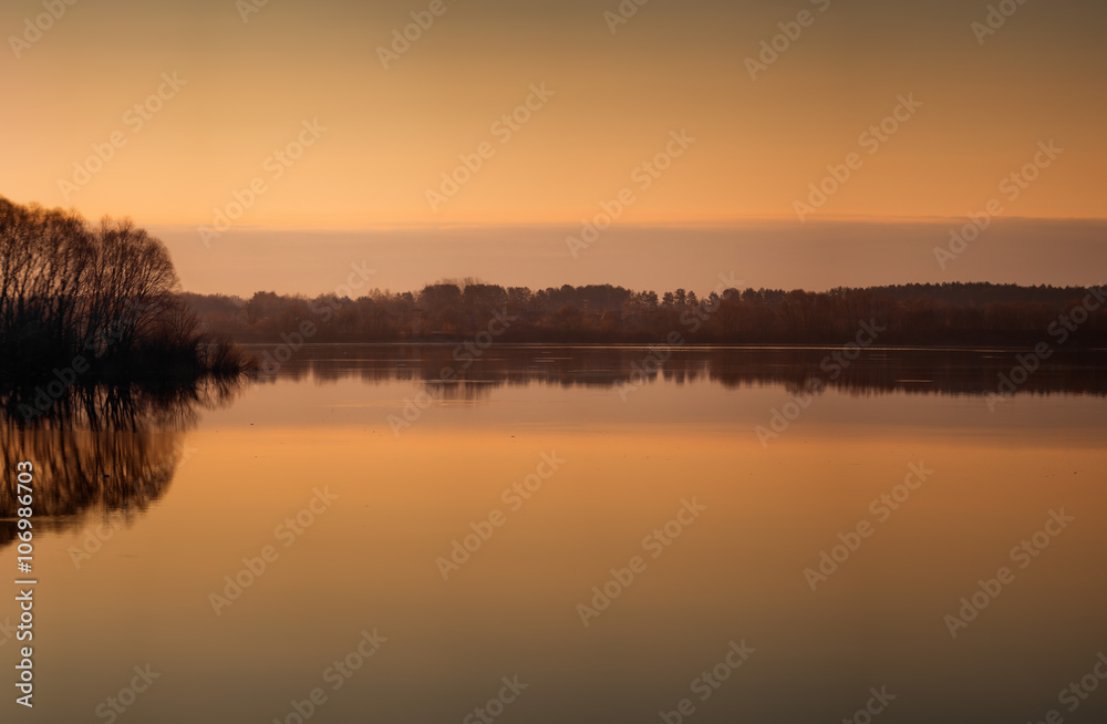 Beautiful landscape with old willow tree at sunrise. River
