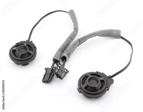 Car audio tweeter set