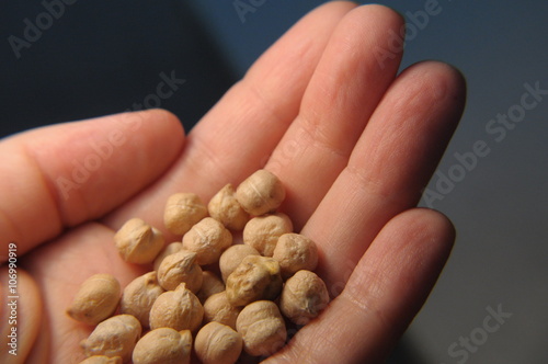 a handful of the chick-pea
