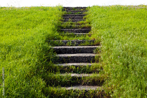 Stone stairs in grass