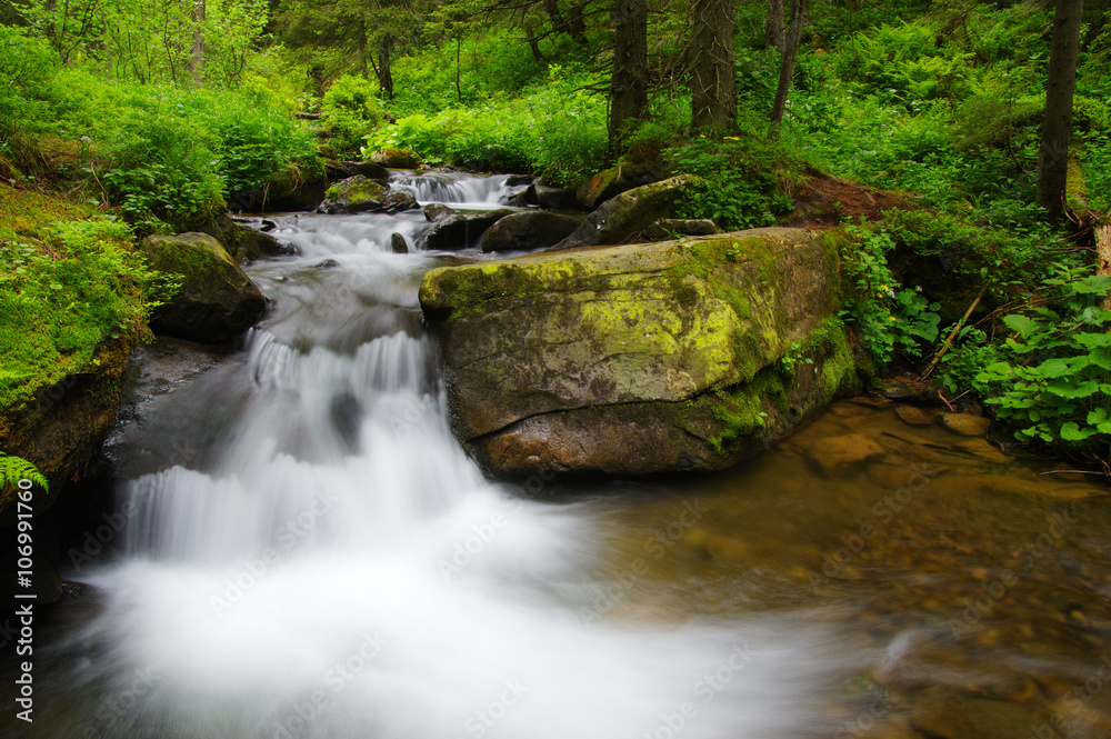  Stream in the wood