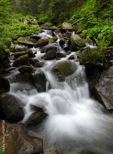 Fototapeta Naklejka Na Ścianę i Meble -   Stream in the wood