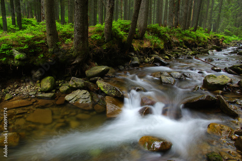  Stream in the wood