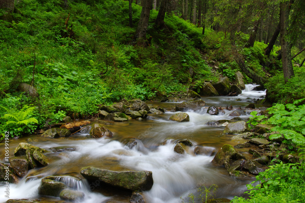 Mountain river in forest.