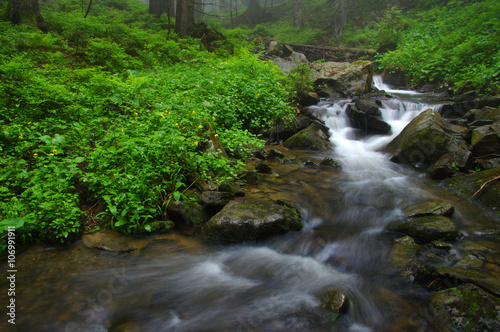 Creek in the woods
