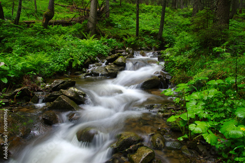 Mountain river in forest.