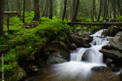 Fototapeta Naklejka Na Ścianę i Meble -  Mountain river in forest.