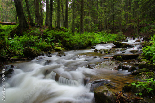 Mountain river in forest.
