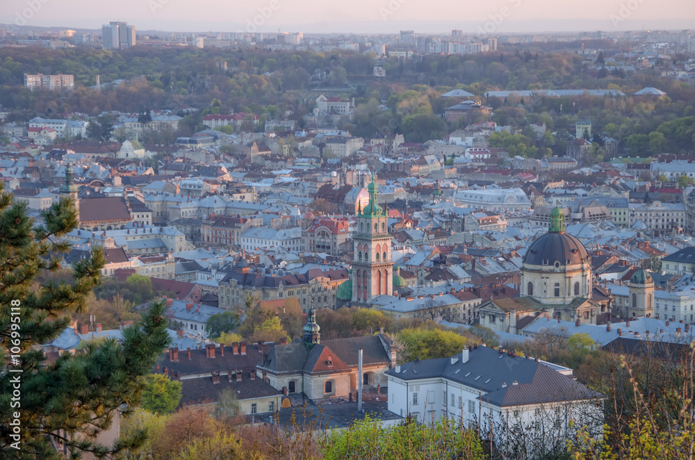 View of the city. Lviv
