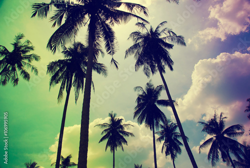 Coconut tree Vintage © khunkornStudio