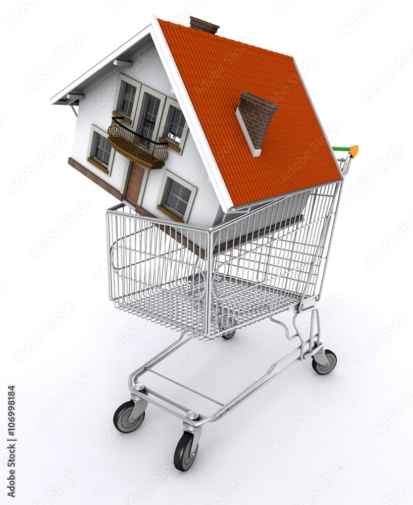 House in shopping cart concept image