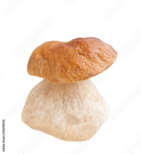 Cep mushroom (Boletus edulis), isolated on white background 