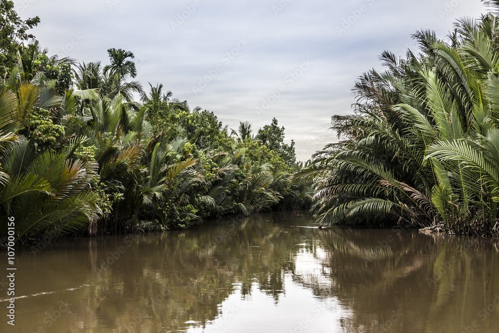 Obraz premium canal in the Mekong delta