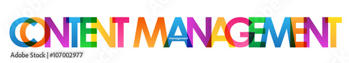 CONTENT MANAGEMENT Vector Letters Icon