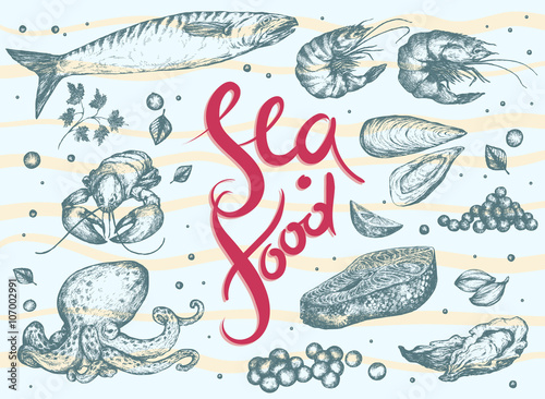 Seafood Set: red and black caviar, oyster, mussel, tiger shrimp, salmon steak, fish, octopus, shrimps, lobster, seasoning. Hand drawn Vector illustration. Realistic sketches.