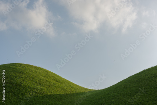 Detail view of Tombs in Gyeongju, South Korea