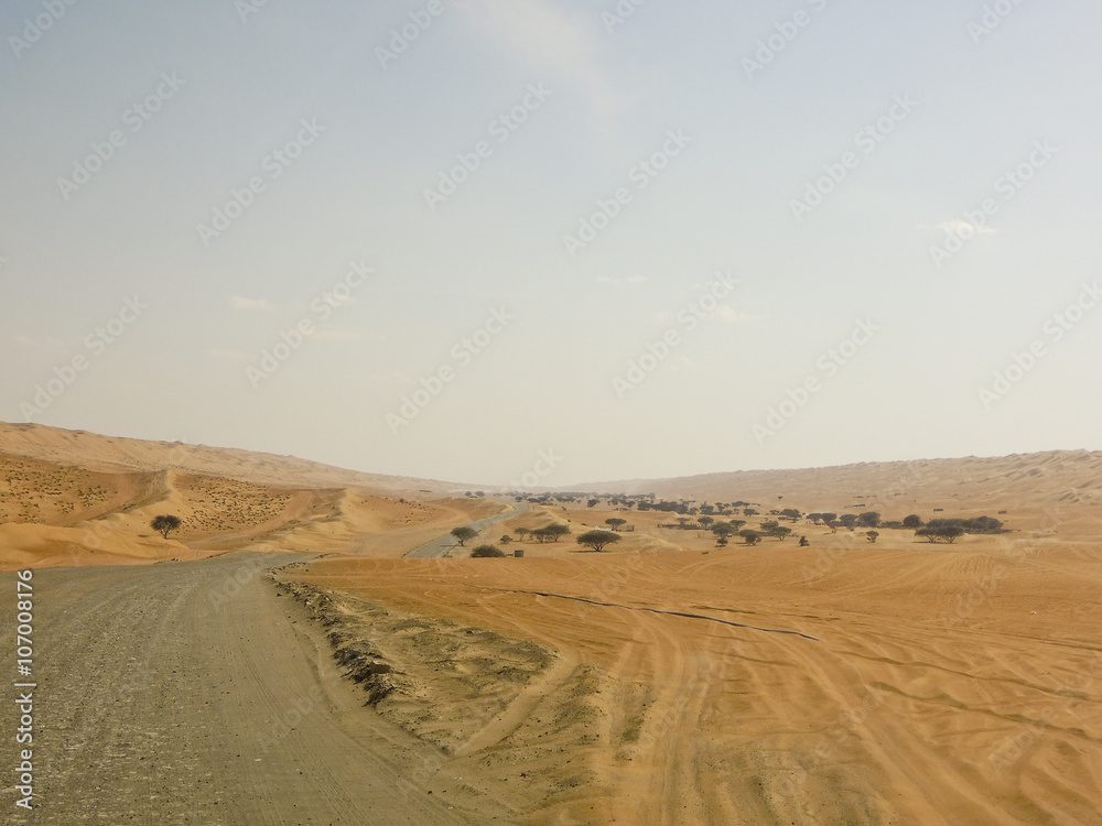 Landscape of Empty Quarter, Rub al Khali Desert, Oman