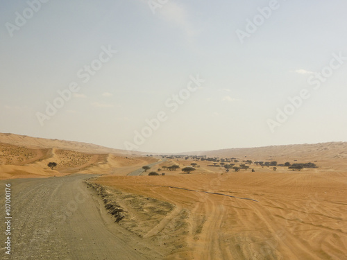 Landscape of Empty Quarter, Rub al Khali Desert, Oman