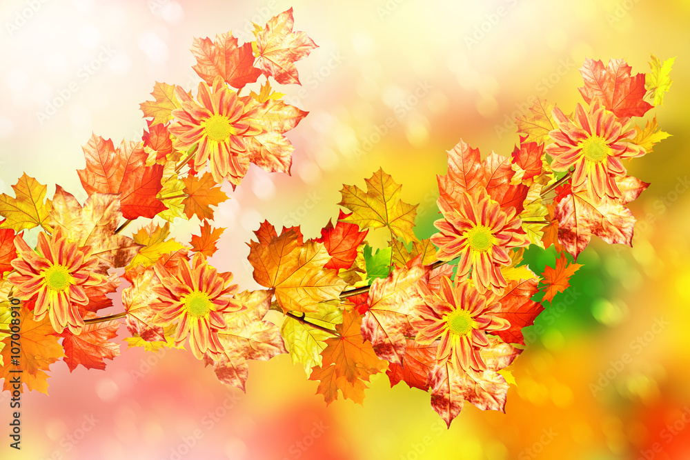 Autumn foliage. Golden Autumn. Autumn foliage. Golden Autumn.