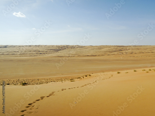 Landscape of Empty Quarter, Rub al Khali Desert, Oman © dr322