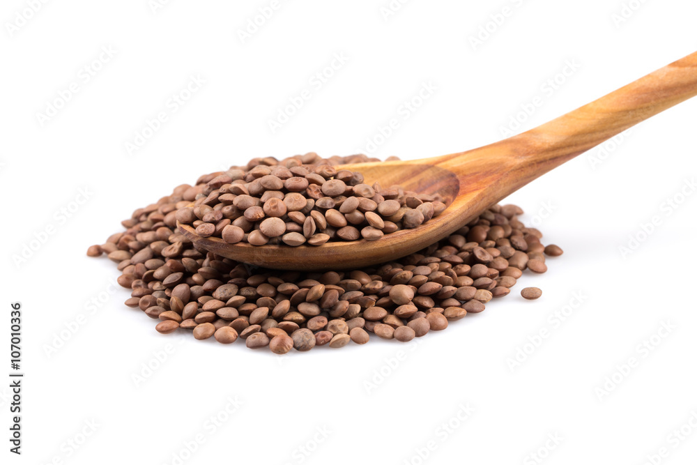 Lentils Isolated on White Background Lentils Isolated on White Background