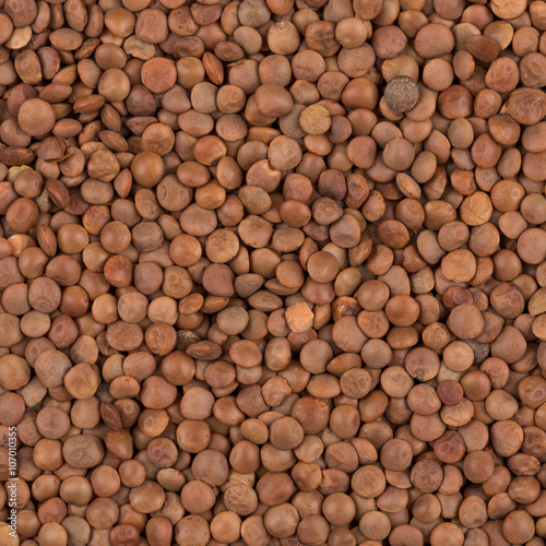 Picture of brown lentils over flat surface photo