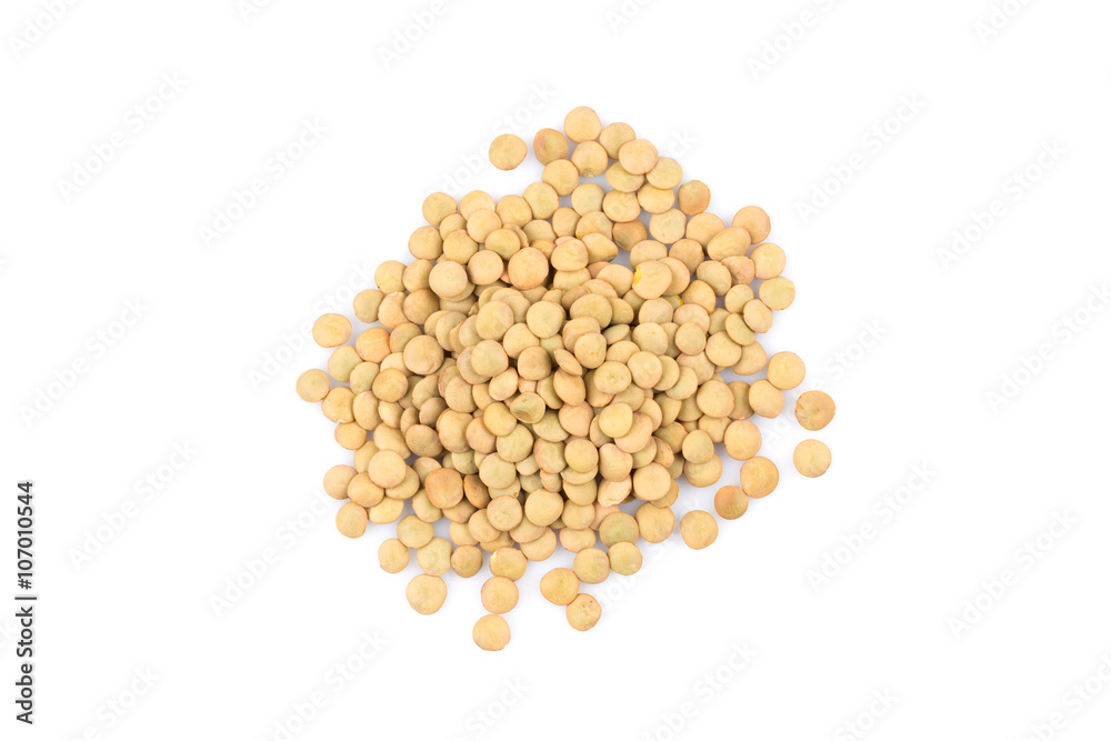 French green lentils French green lentils