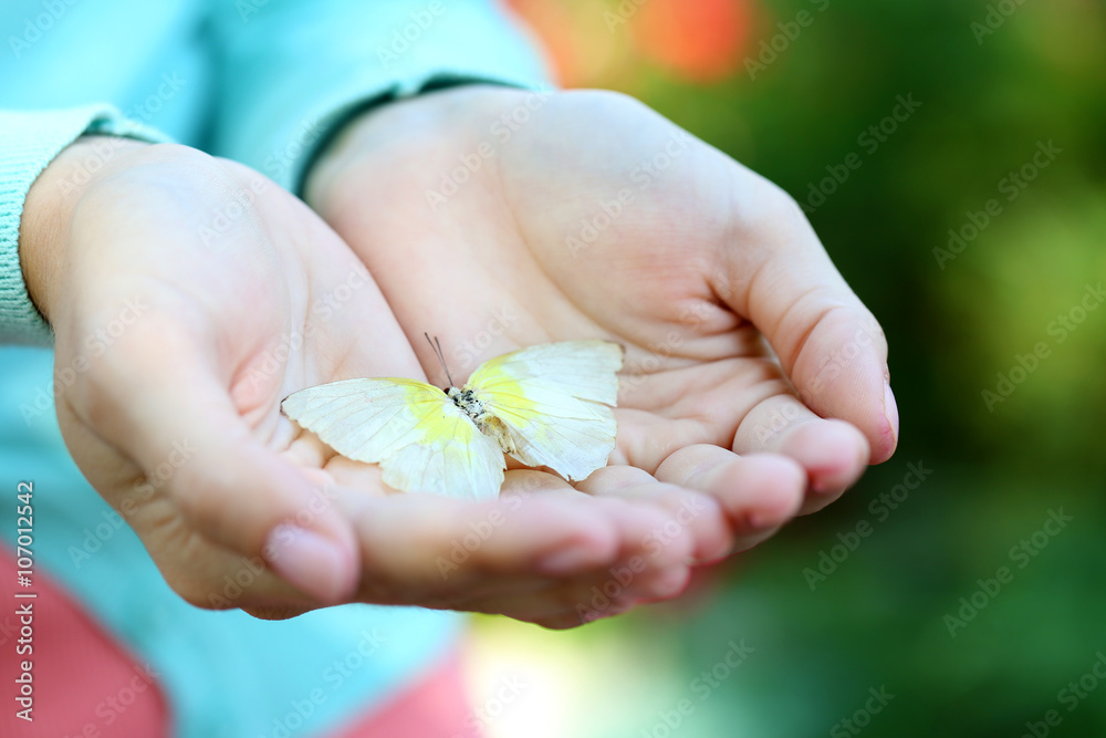 Colorful butterfly in female hand, close-up Colorful butterfly in female hand, close-up
