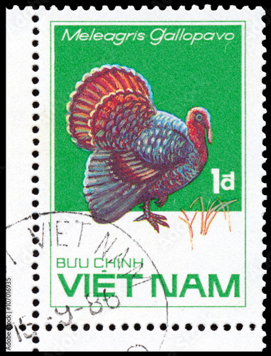 Stamp printed in Vetnam shows Meleagris gallopavo turkey
