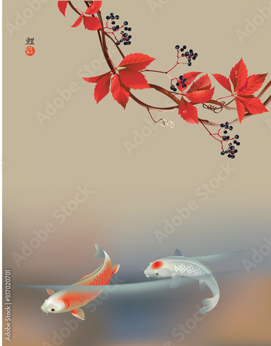 Koi carps and wild grape