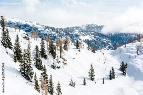 Winter landscape with a group of skiiers.