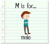  Flashcard letter M is for male